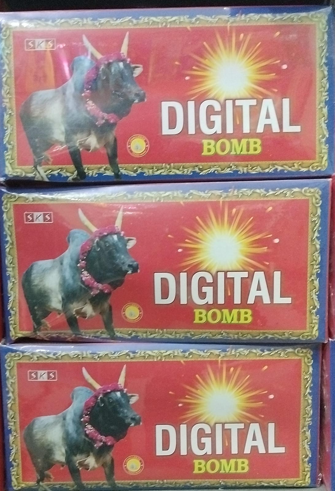 SK Pyro Park DIGITAL BOMB